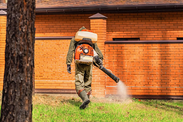 Trusted Fumigation Services service in Parowan, UT - Nex Pest Control